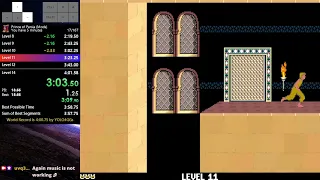 [World Record] Prince of Persia 1 (MS-DOS) You Have 5 Minutes Mod in 3m 58s 916ms by uvq3tsa