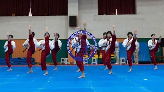 🇰🇷Korean students' performance to promote Taekwondo to the world!