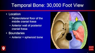 Temporal Bone Anatomy