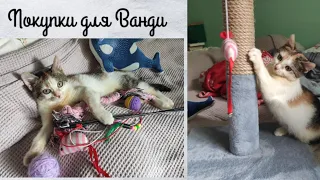 Покупки для КИЦІ😺