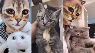 Забавные животные. Реакция на маску кошки / Cute pets. Reaction on cat's mask