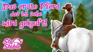 Star Stable [SSO] Ich kaufe das erste Pferd, das ich sehe!