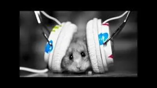 DJ Рыжов feat  E Not  Nookie   Музыка Электро DJ Shishkin  DJ Pi