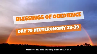 Day 79: Deuteronomy 28-29