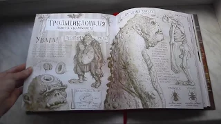 Книга "Гарри Поттер и философский камень" с иллюстрациями Джима Кея!