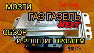 Обзор ЭБУ на Газель Next Микас 12 9815.3763004-46. Динамичная прошивка евро-2 с пониженным расходом.