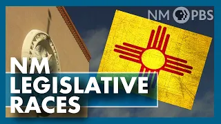 Legislative Contests in New Mexico | The Line