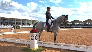 Leading Maryland 5 Star CCI5* Dressage - Oliver Townend and Cooley Rosalent