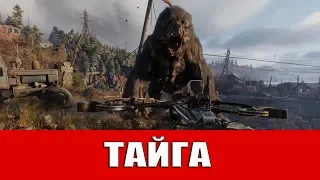 METRO EXODUS - ТАЙГА (ВСЕ СТРАНИЦЫ ДНЕВНИКА И ОТКРЫТКИ)