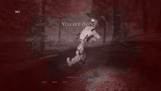 wutdahell (Bigfoot game glitch)