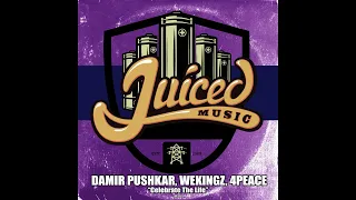 Damir Pushkar, Wekingz, 4Peace - Celebrate The Life (Original Mix)