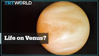 Scientists discover possible sign of life in clouds of Venus