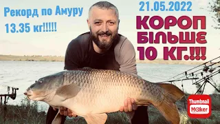 ОСОБИСТИЙ РЕКОРД АМУРА!!!! 13.35 кг.!!!! Карпи більше 10 кг.!!!! Прилбичі 21.05.2022. Команда FCT