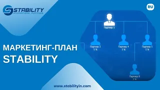 Маркетинг-план компании Stability (В.Деркач)