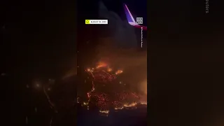 Aerial Footage Shows Wildfire Devastation in Hawaii