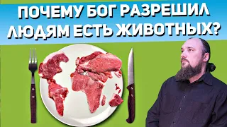 Почему Бог разрешил людям есть животных? Священник Максим Каскун