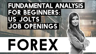 FOREX - Fundamental Analysis for Novices - US JOLTS Job Openings!