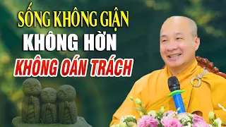 Sống Không giận, không hờn không oán trách, Thong Dong Tự Tại - Thầy Thích Trí Huệ 2024