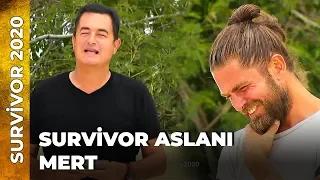 Acun Ilıcalı'dan Mert'e Güldüren Benzetme | Survivor Ünlüler Gönüllüler