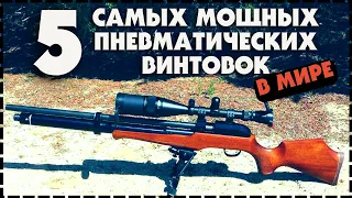 Топ 5 Самых Мощных Пневматических Винтовок В Мире