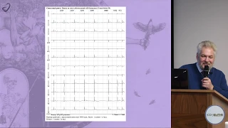 Заключение по холтеровскому мониторированию ЭКГ глазами клинициста