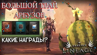 БОЛЬШОЙ ТРАЙ АРБУЗНОГО ИВЕНТА какие награды? lineage 2 essence