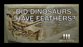 Arrow Points #14 - DID DINOSAURS HAVE FEATHERS? With Geologist and Paleontologist, Dr. Marcus Ross.