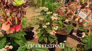 Çiçek Festivali: Çiçeklerle Dolu Bir Gün