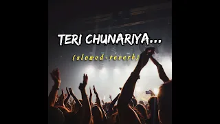 Teri Chunariya|Slowed+Reverb|Hello Brothe|#lofi #love #share #youtube #bollywood #dance #song #songs
