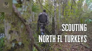 Pre-season scouting | Searchin’ for Toms in North Florida