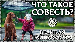 ЧТО ТАКОЕ СОВЕСТЬ? – Великая тайна слова