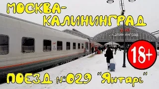 Поездка на поезде №029 Москва - Калининград (Янтарь). Обзор квартиры