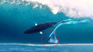 Incredible Moments Caught on Camera #4