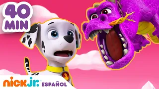 Paw Patrol, Patrulla de cachorros | 40 MIN de la Patrulla canina rescatando animales súper lindos