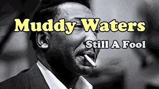 Muddy Waters - Still A Fool - Cambridge 1966(Live Audio)