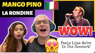 MANGO PINO - LA RONDINE | TOUR GLI AMORI SON FINESTRE | REACTION!🇮🇹