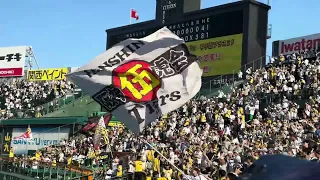 2024.5.25  阪神対巨人　試合終了後　ライトスタンド二次会