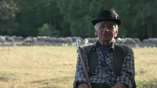 "Ezt a kerek erdőt járom én..." - Orosz József juhász portréfilmje