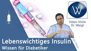 Insulin: Zuckerkrank und lebenslang spritzen? Alles zum Hormon & Medikament bei Diabetes Mellitus