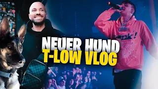 T-Low Konzert VLOG & Unser NEUER Hund #favoritesong