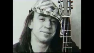 Little Wing - Stevie Ray Vaughan "Official" Video