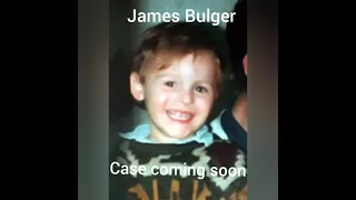 James bulger mystery