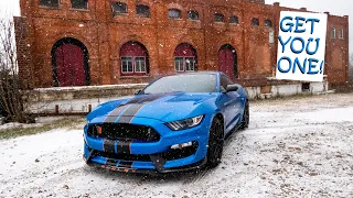 Reasons why you should buy a Mustang GT350! *BEFORE IT'S TOO LATE*