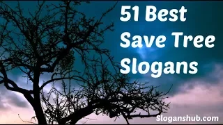 Top Slogans on"SAVETREES" in English||SAVE TREES slogans||SLOGANS ON SAVE TREES IN ENGLISH