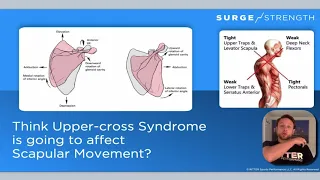 Swimmer’s Shoulder: What’s Wrong and How to Fix It