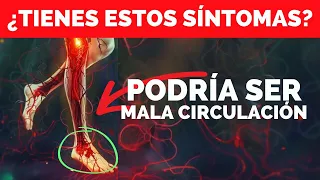 12 Señales de MALA circulacion sanguinea que no debes ignorar