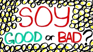 Is Soy Bad For You?