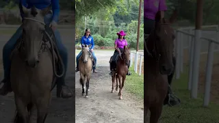 Ela vai montar a cavalo 🤠