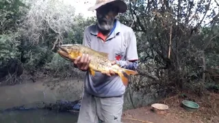 @Pescaria Dourado adrenalina pura Rio São José dos Dourados 🇧🇷