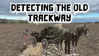 Return to the medieval trackway!